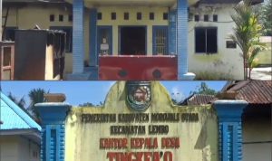 InCollage_20260310_121407755